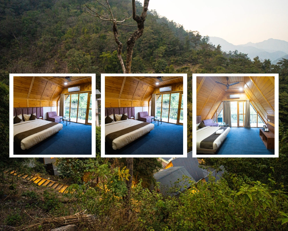 Silhouette Rooms